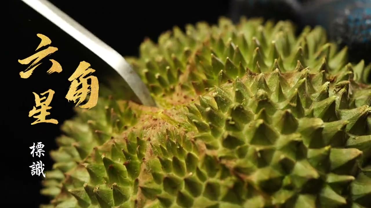 Durian Baby Mooncake